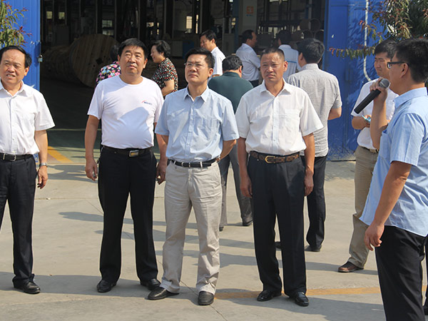 邢台市市长孟祥伟到S36沙龙国际线缆集团视察