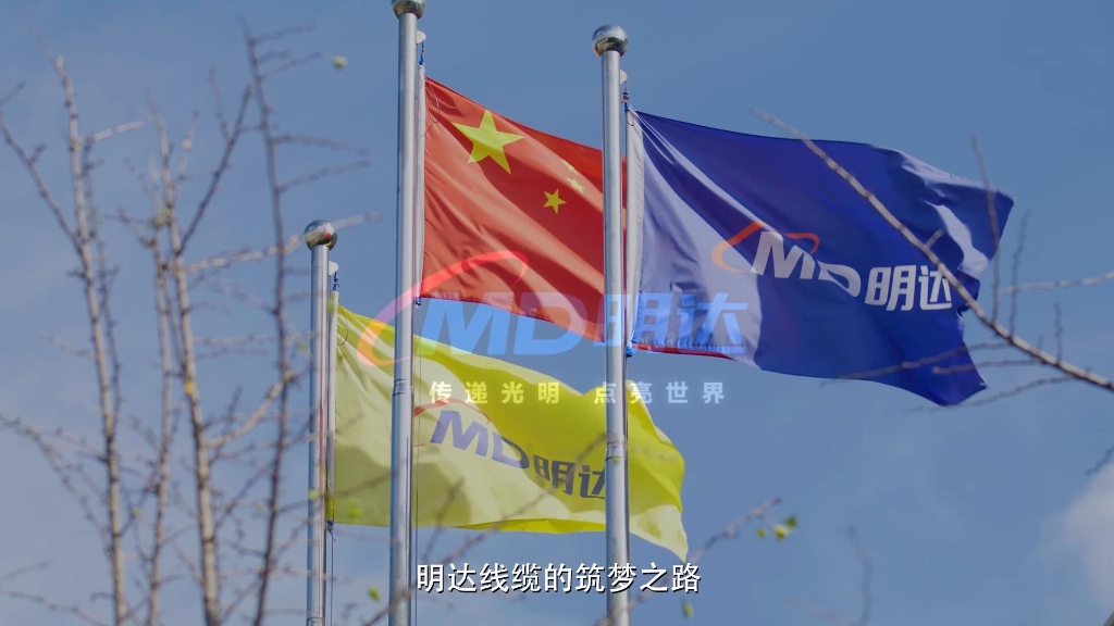 S36沙龙国际宣传片-河北电视台2020年录制